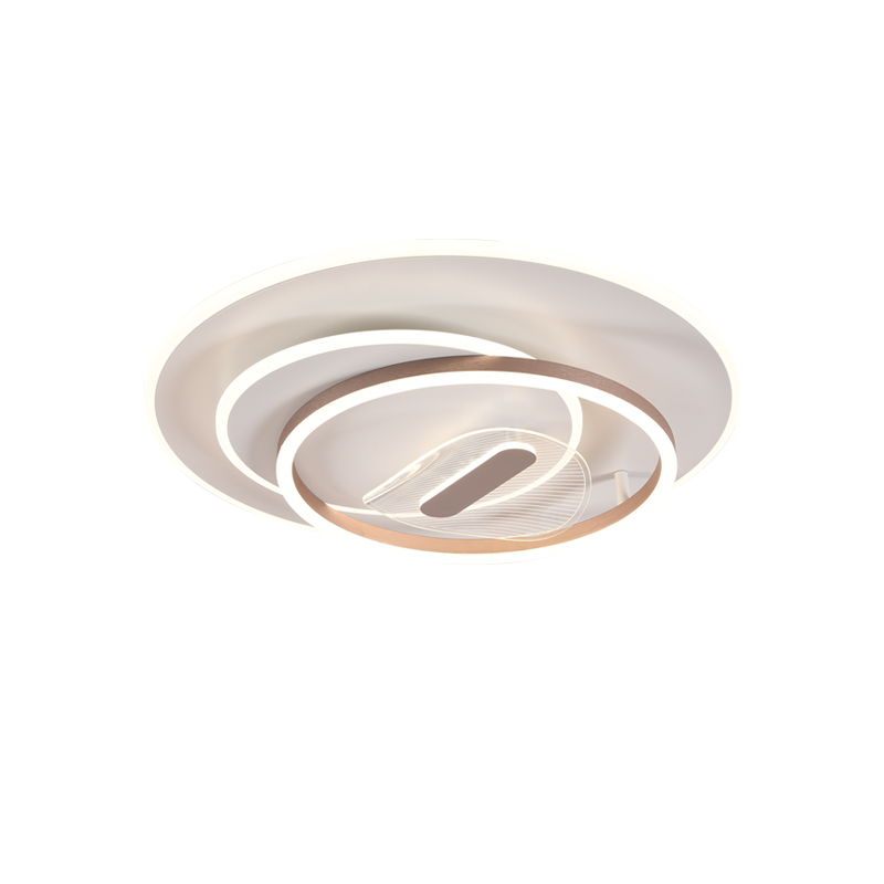 OTL-在线观看91精品国产水蜜桃/吸顶灯/OTL-170W/荷露/