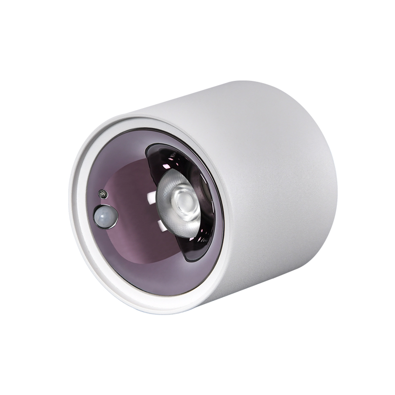 感应射灯 感应射灯