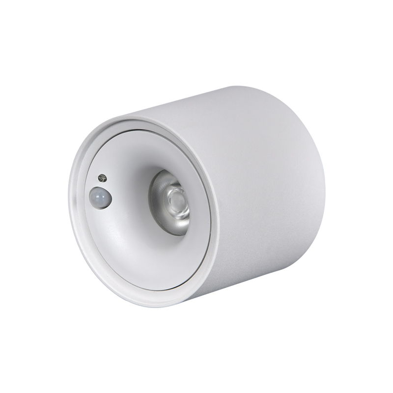 感应射灯 感应射灯