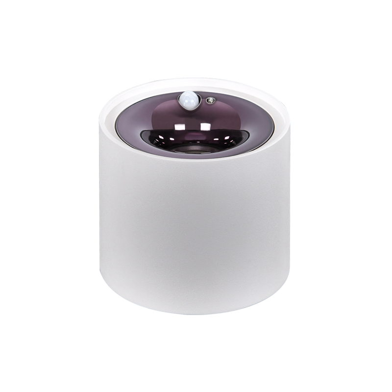 感应射灯 感应射灯