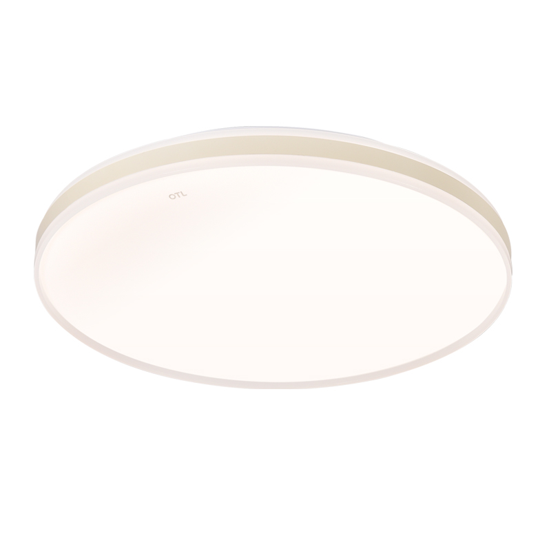 OTL-在线观看91精品国产水蜜桃/吸顶灯/OTL-问月系列